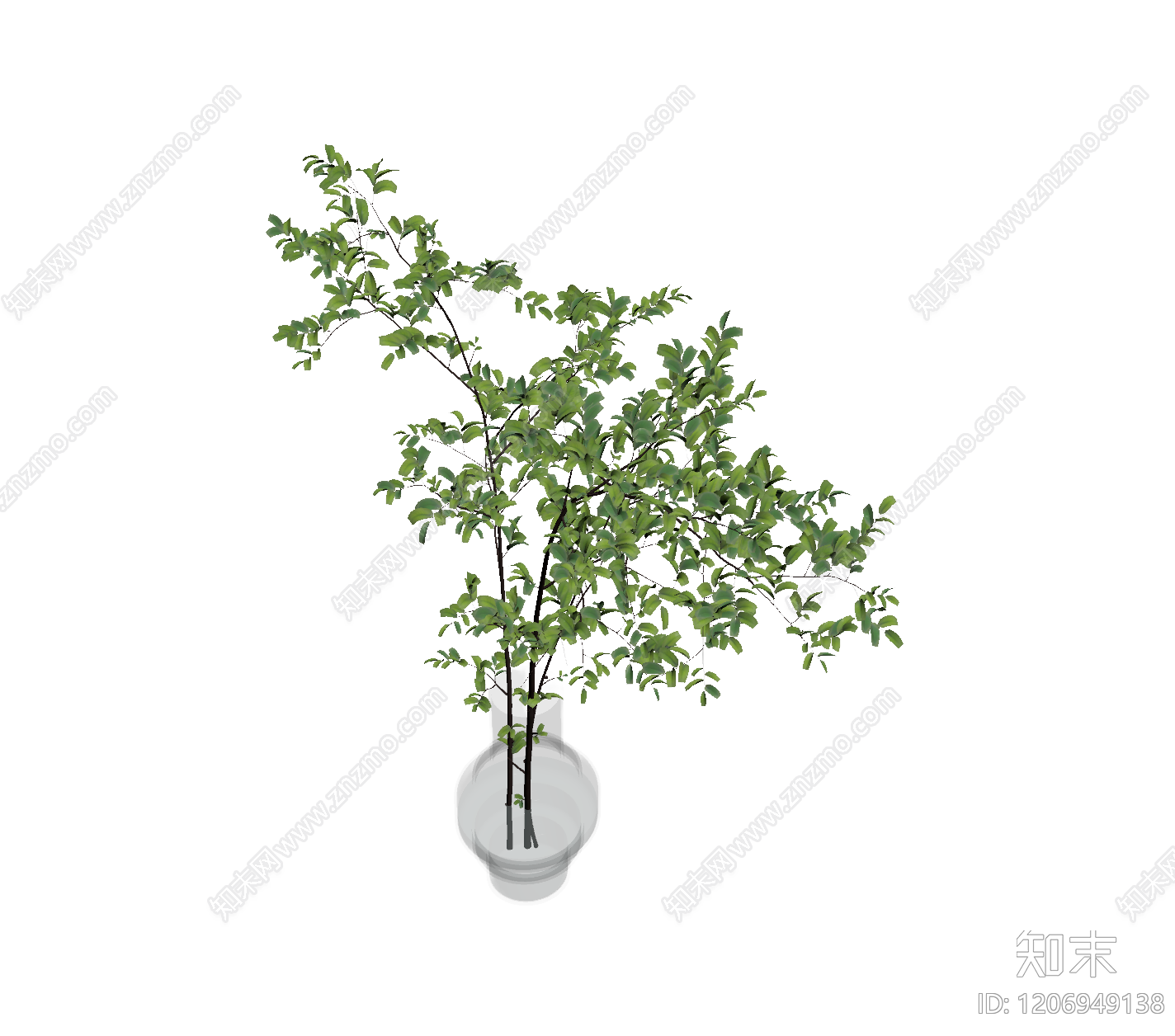 盆栽植物带花盆3D模型下载【ID:1206949138】