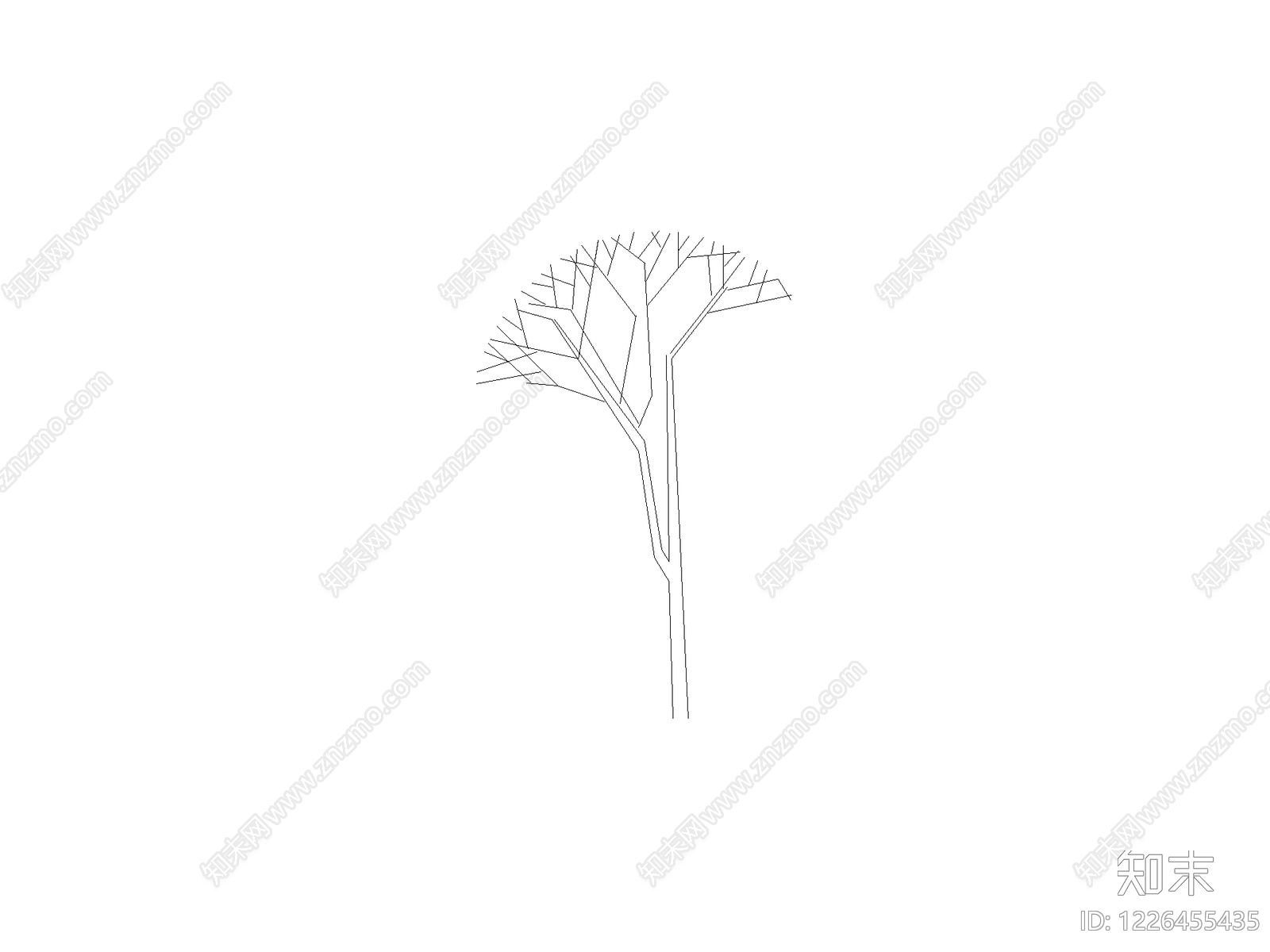 乔木种植CAD图纸