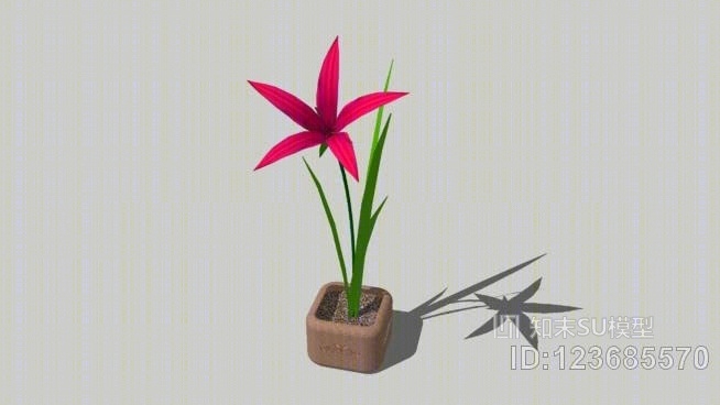 黄花菜SU模型下载【ID:123685570】