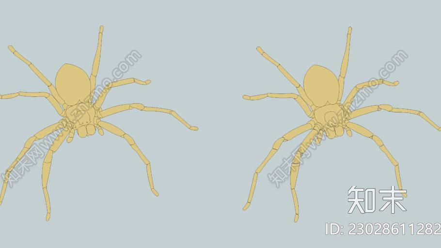 蜘蛛HuntmanSU模型下载【ID:1162135214】