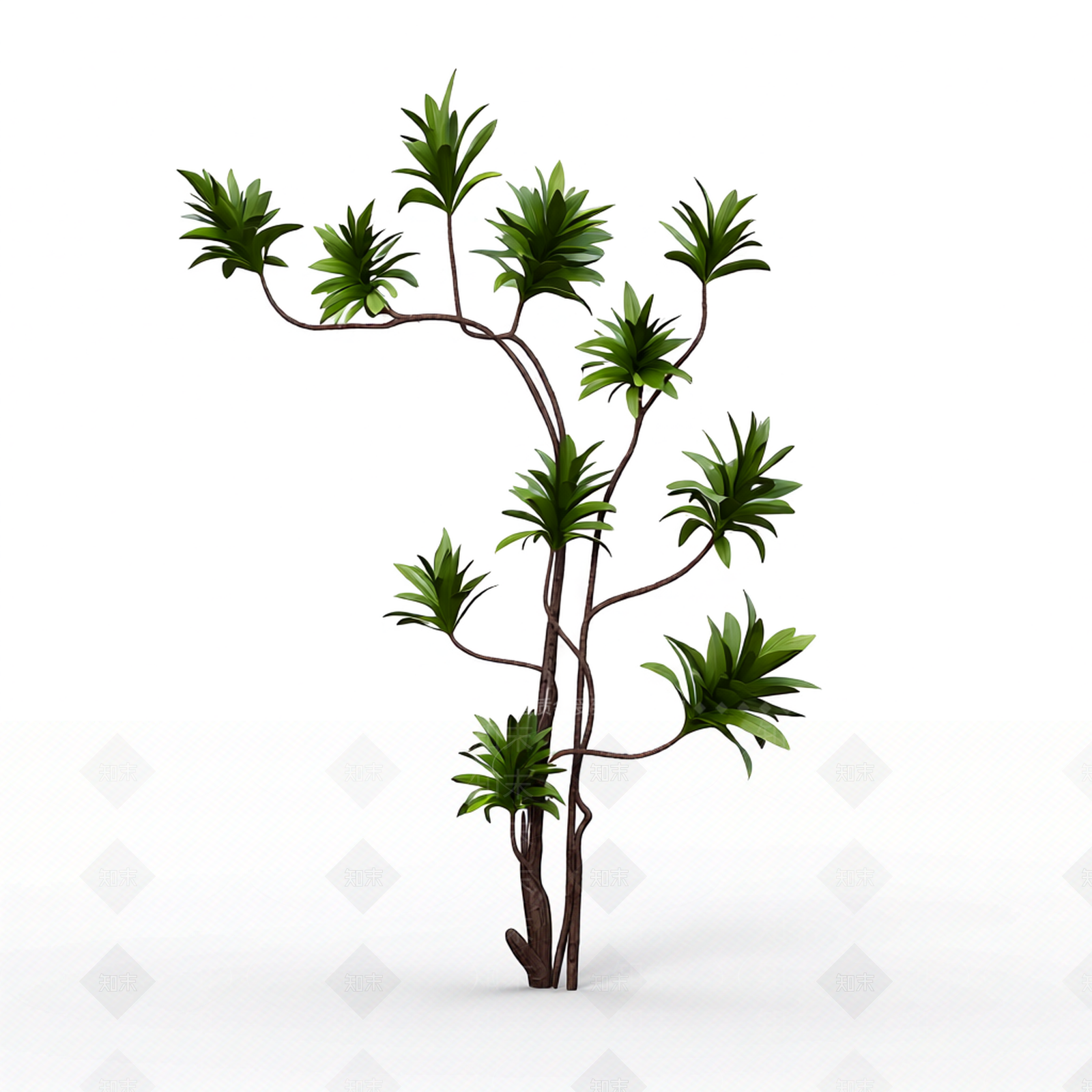 枝叶繁茂的植物模型3D模型下载【ID:1206192909】