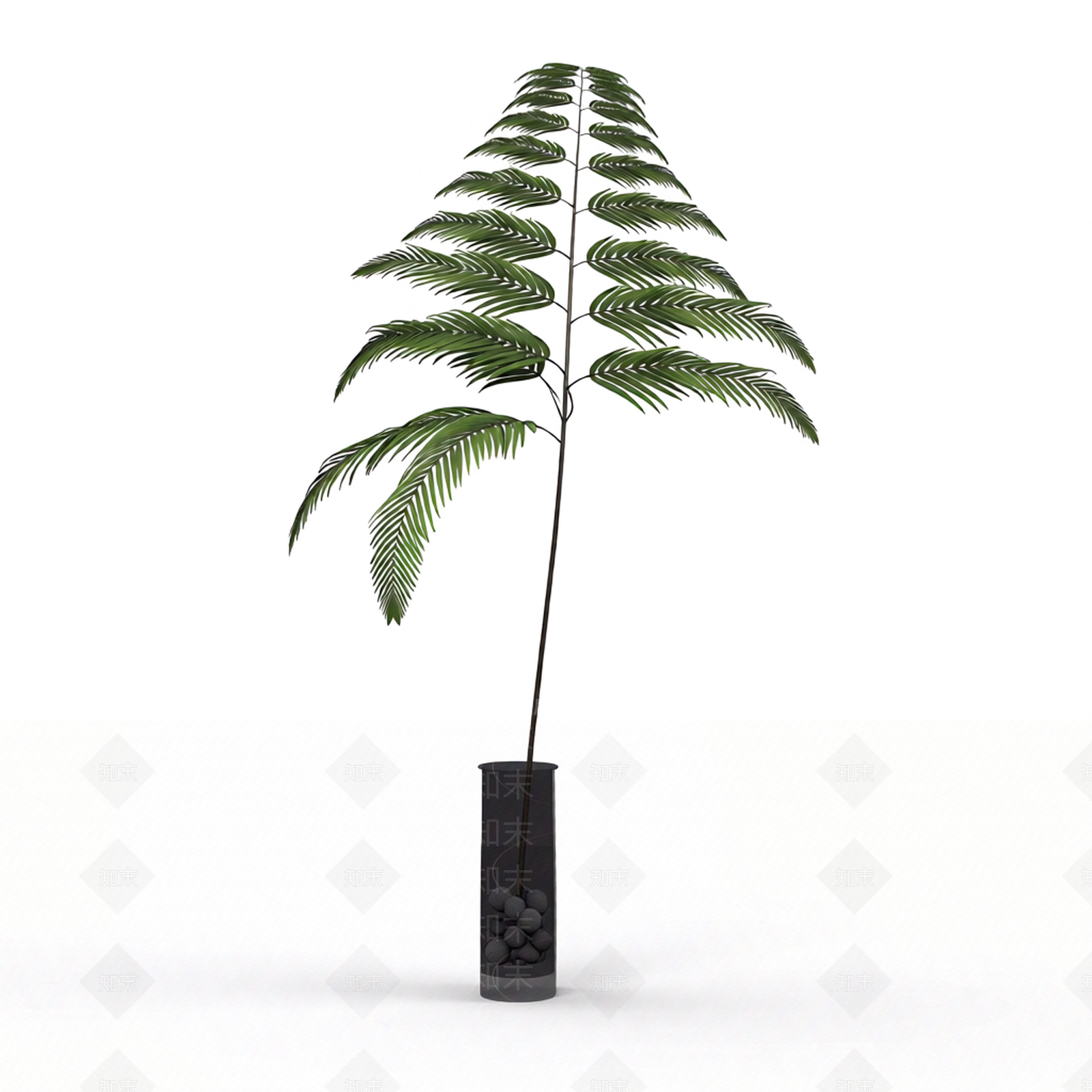 带盆绿植盆栽3D模型下载【ID:1206188698】