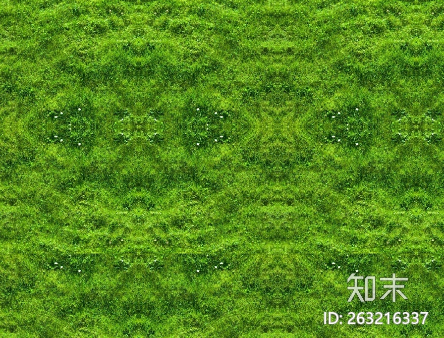 草坪贴图下载【ID:263216337】