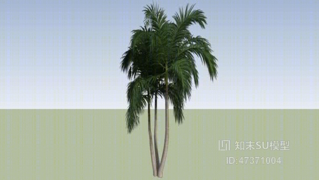 树SU模型下载【ID:117887622】