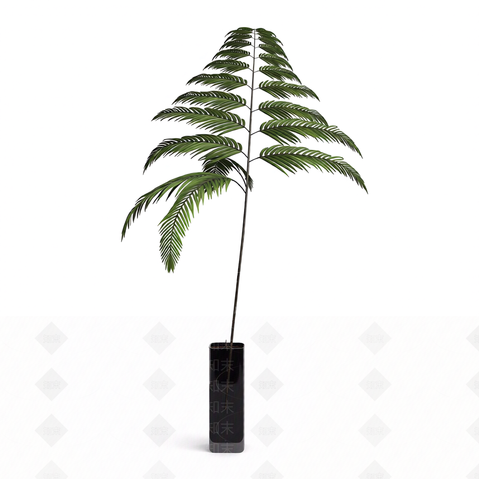 带盆绿色蕨类植物3D模型下载【ID:1206188760】