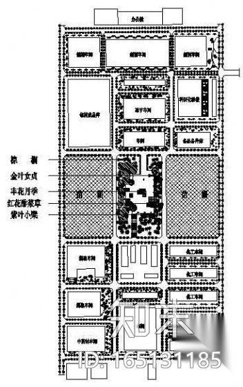 某集团公司绿化种植平面图cad施工图下载【ID:165131185】