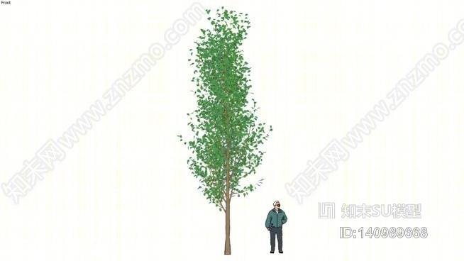 ODS-3D树08SU模型下载【ID:140989668】