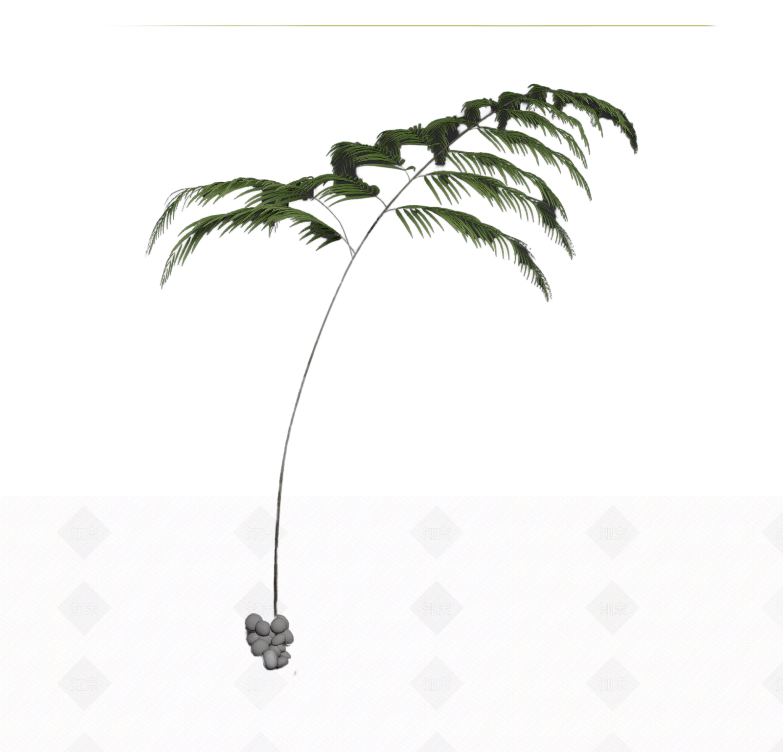 带盆蕨类盆栽3D模型下载【ID:1206195980】