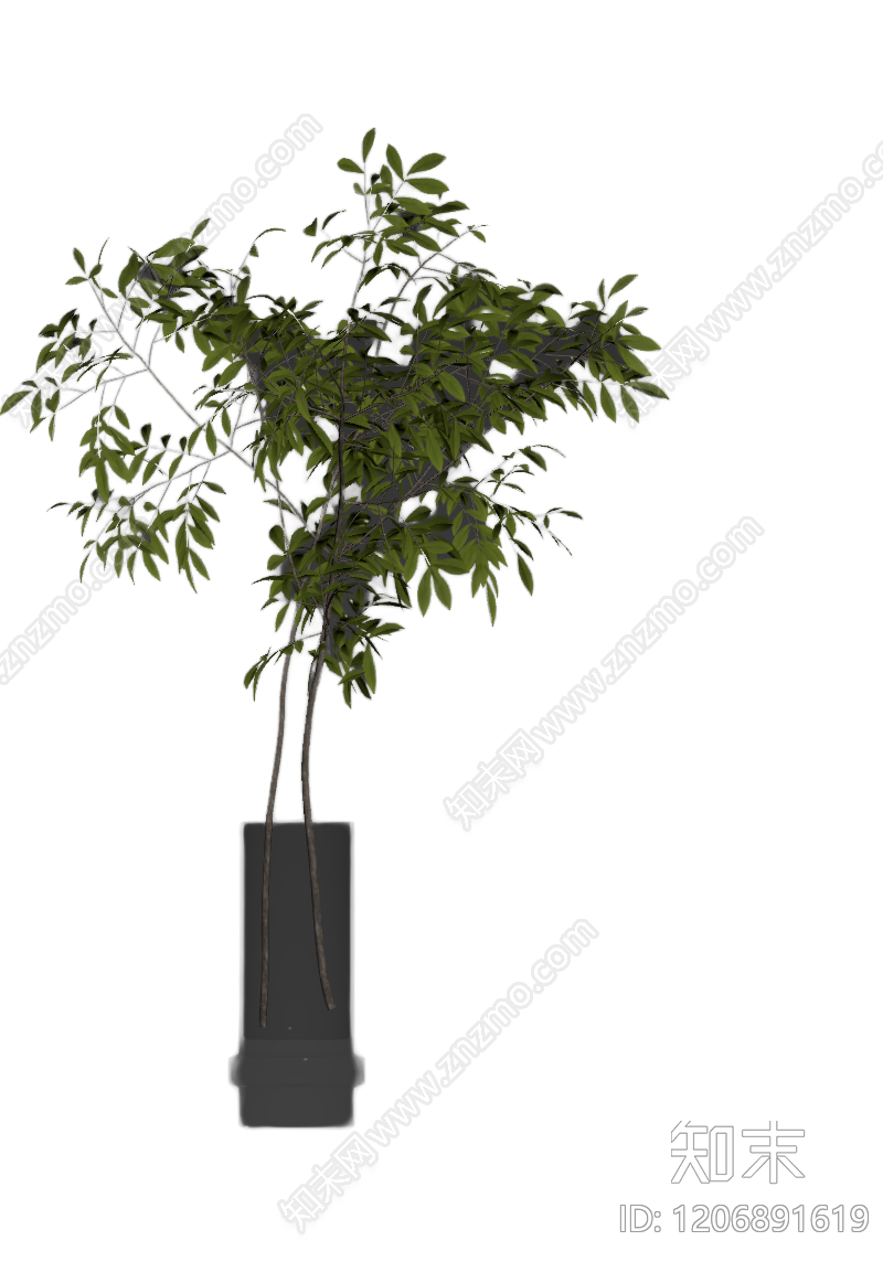 盆栽植物带花盆3D模型下载【ID:1206891619】