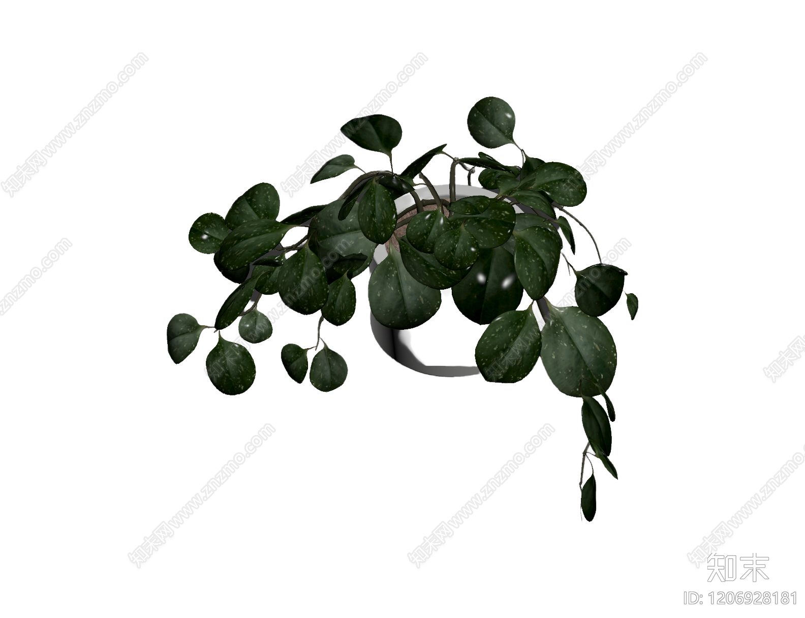盆栽植物带花盆3D模型下载【ID:1206928181】