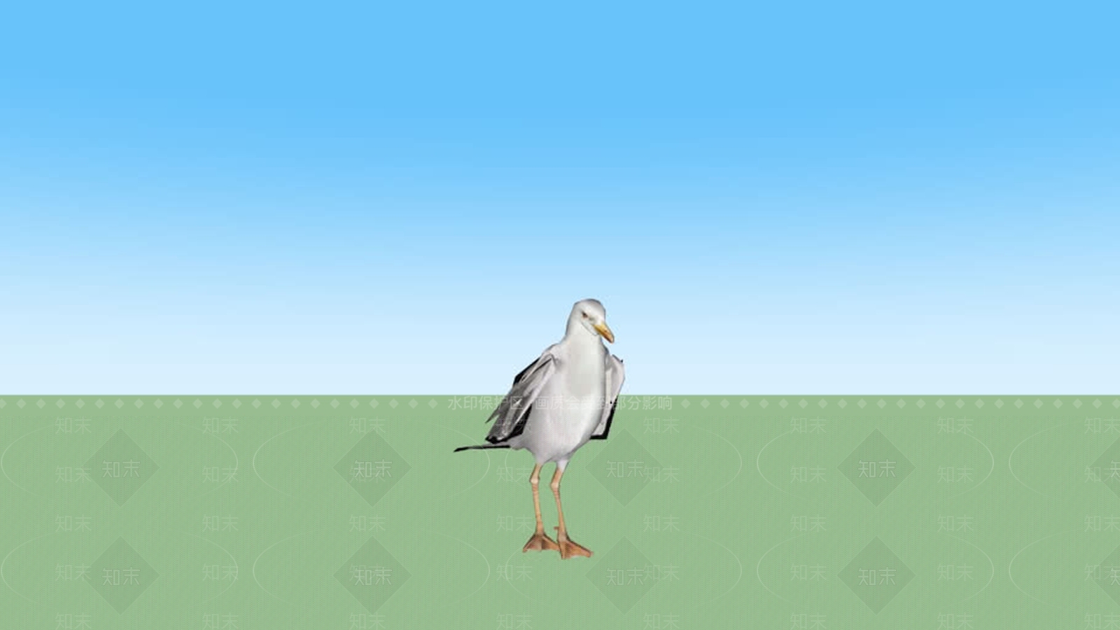 鸟SU模型下载【ID:1161790464】
