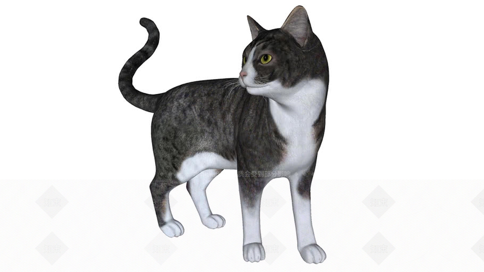 猫1SU模型下载【ID:1162236153】