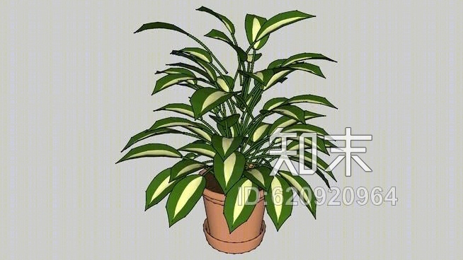 热带盆栽计划SU模型下载【ID:620920964】
