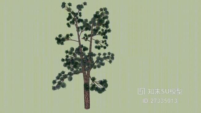 三维双树干松SU模型下载【ID:27335013】