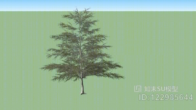 小树SU模型下载【ID:122985644】