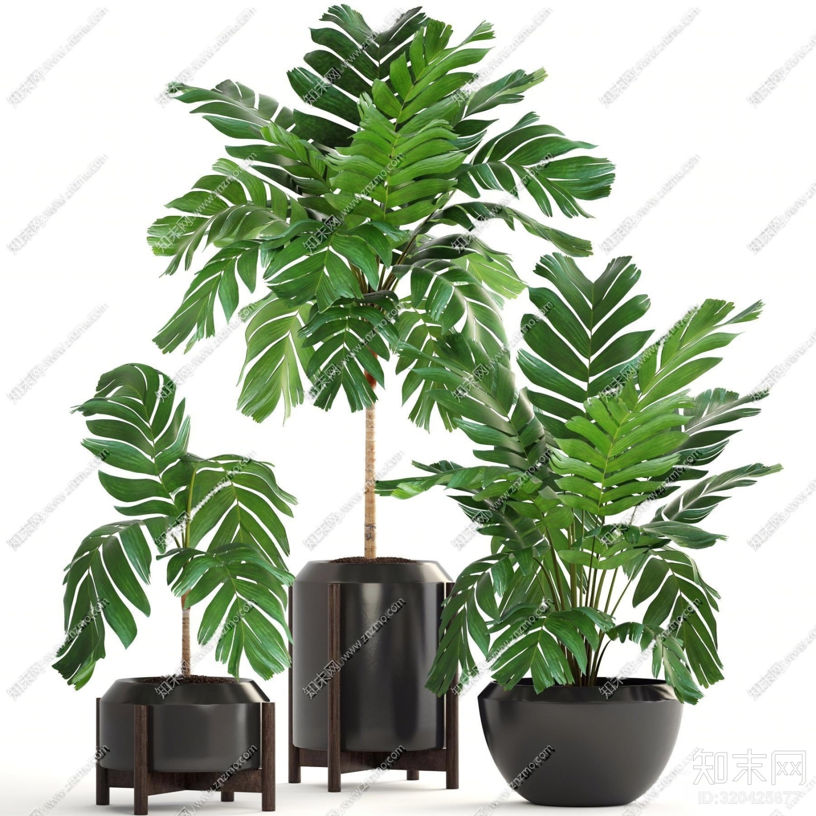 现代植物盆栽组合3D模型下载【ID:320425877】