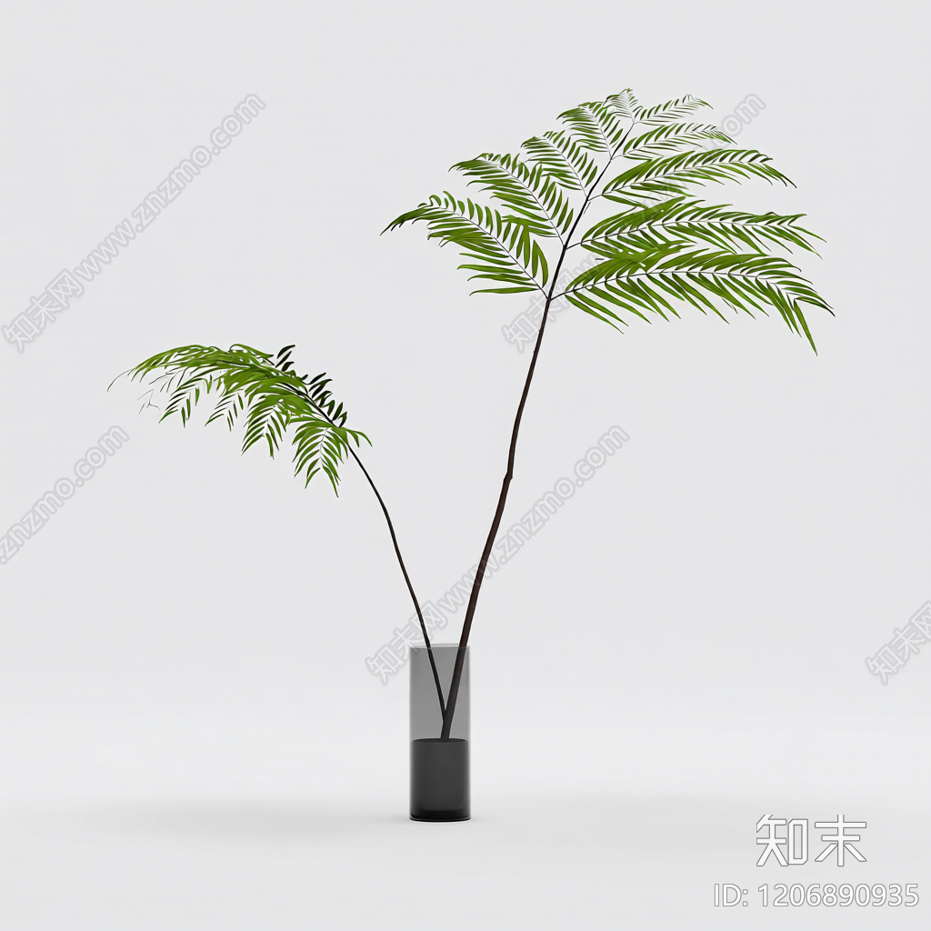 盆栽植物带花盆3D模型下载【ID:1206890935】