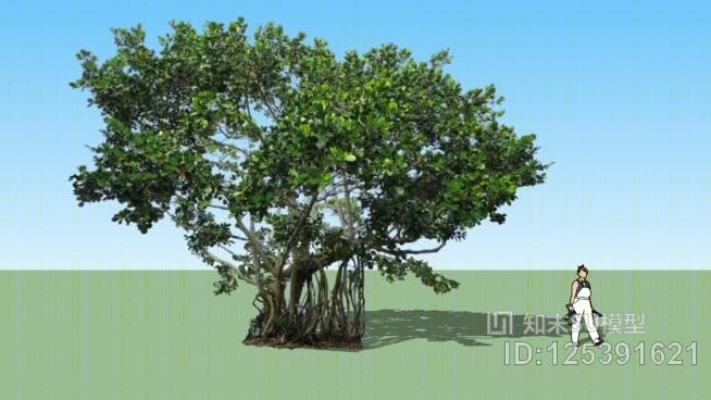 签名树2D大SU模型下载【ID:125391621】