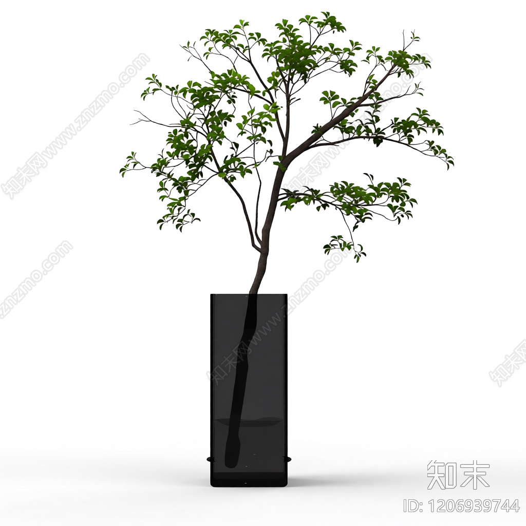 盆栽树模型3D模型下载【ID:1206939744】