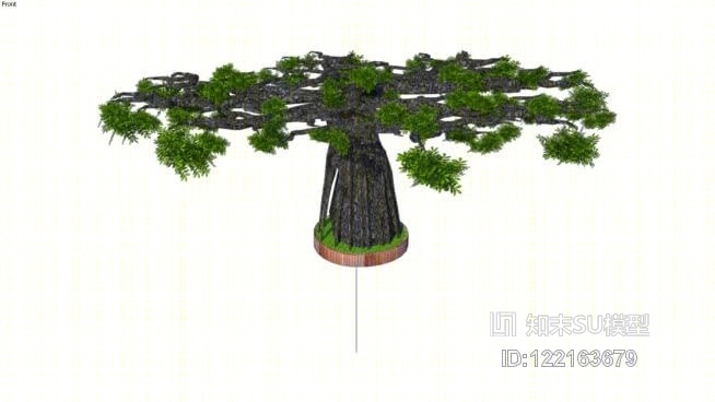 盆景黑橄榄树2D基本ZuninSU模型下载【ID:122163679】