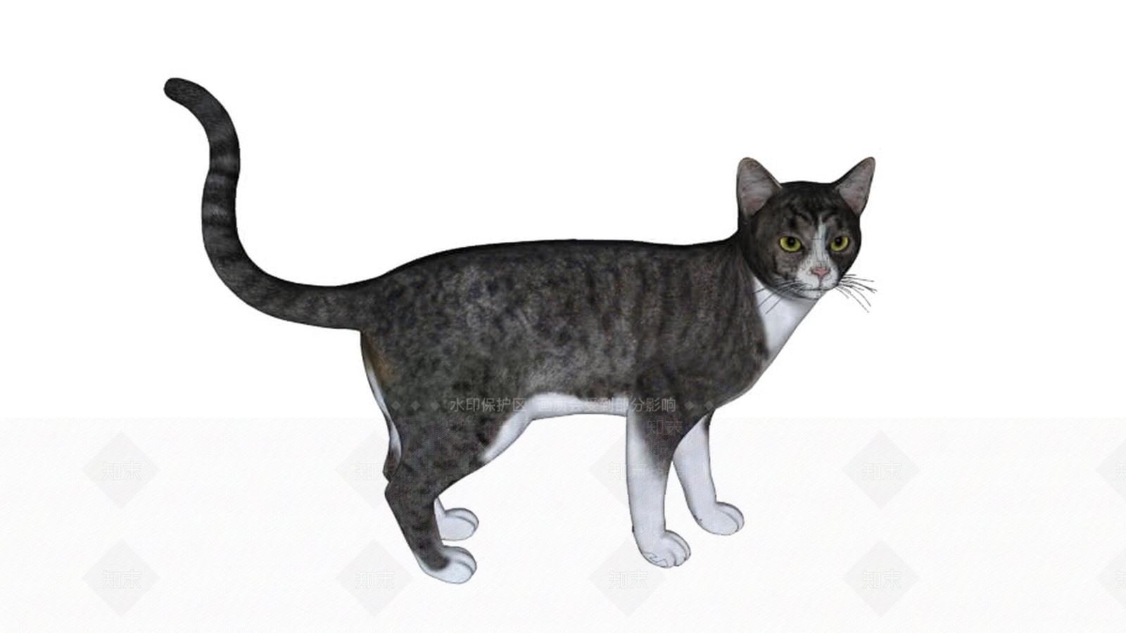 Gato_G3DSU模型下载【ID:1162597577】