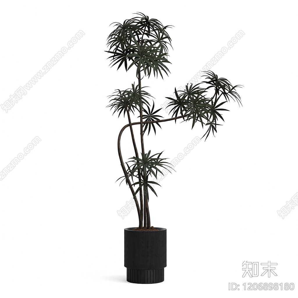 盆栽植物装饰3D模型下载【ID:1206898180】