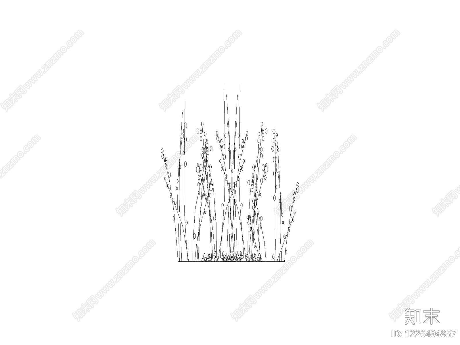 地被种植CAD图纸