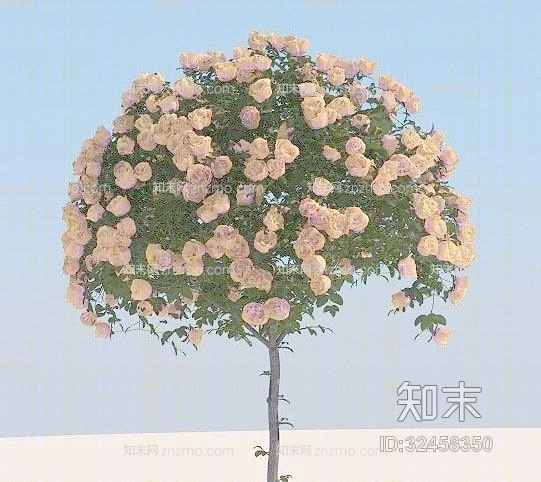 花143D模型下载【ID:32458350】