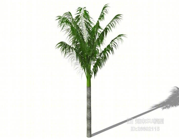 3D棕榈科植物SU模型下载【ID:26602115】