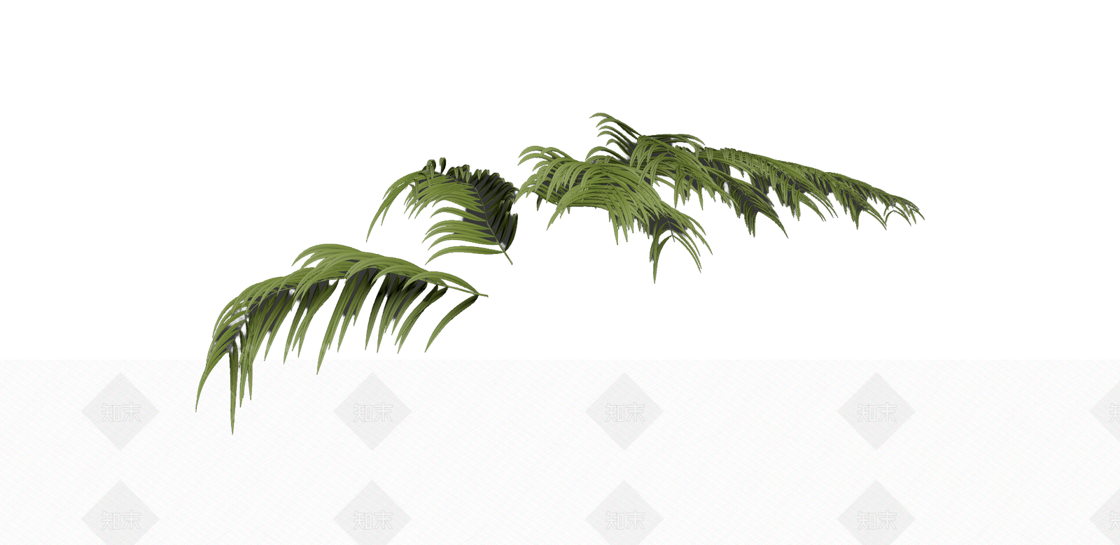 绿色枝叶植物模型3D模型下载【ID:1206188265】