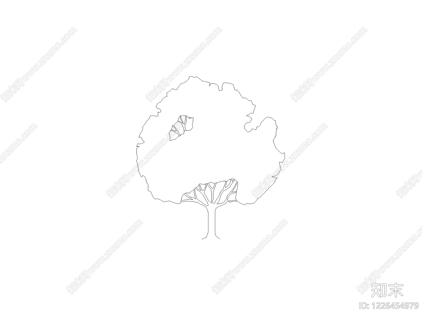乔木种植CAD图纸