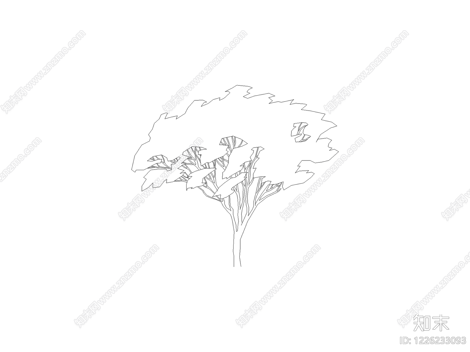 现代乔木种植CAD图纸