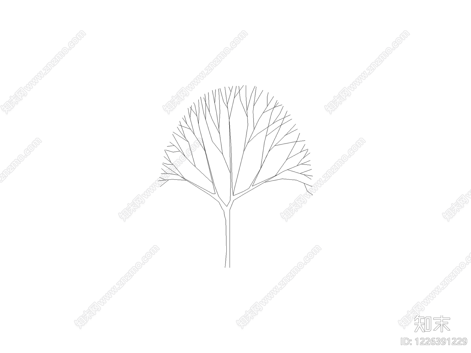 乔木种植CAD图纸