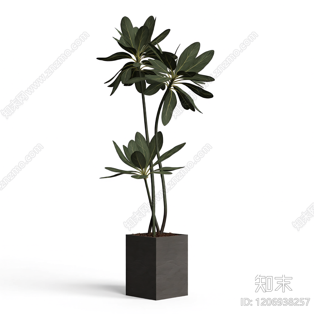 盆栽植物组合3D模型下载【ID:1206938257】