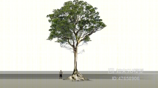 树SU模型下载【ID:47658906】