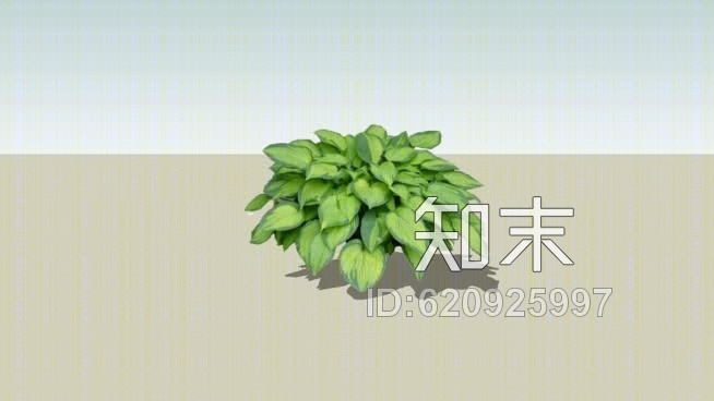 玉簪绿2DSU模型下载【ID:620925997】