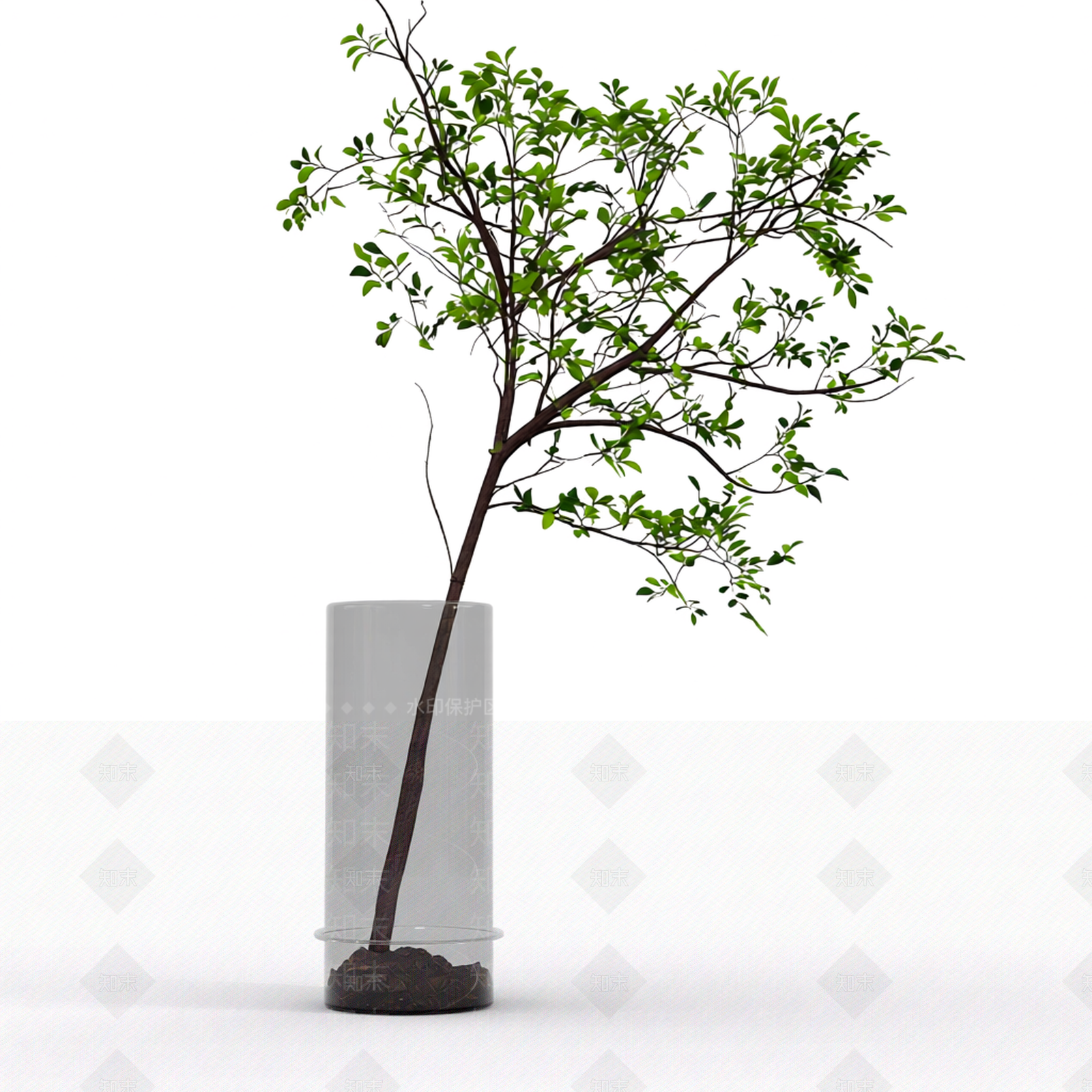 带盆绿植盆栽3D模型下载【ID:1206184016】