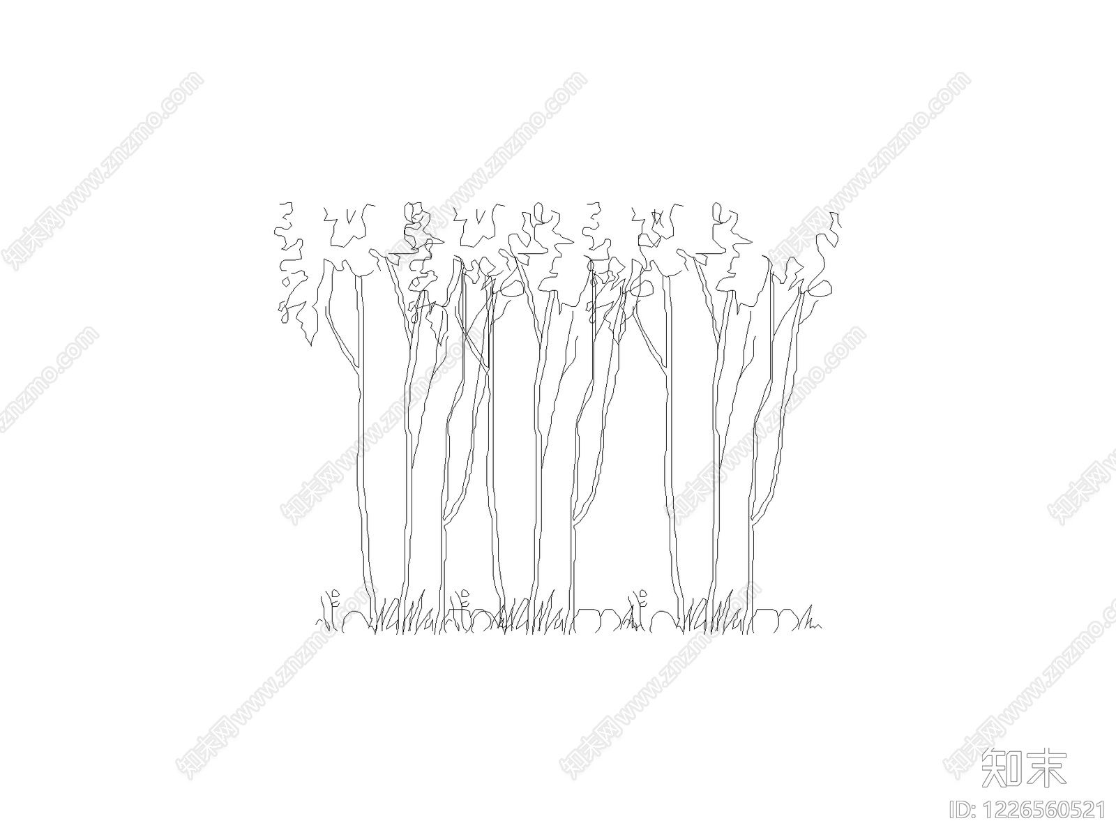 现代乔木种植CAD图纸
