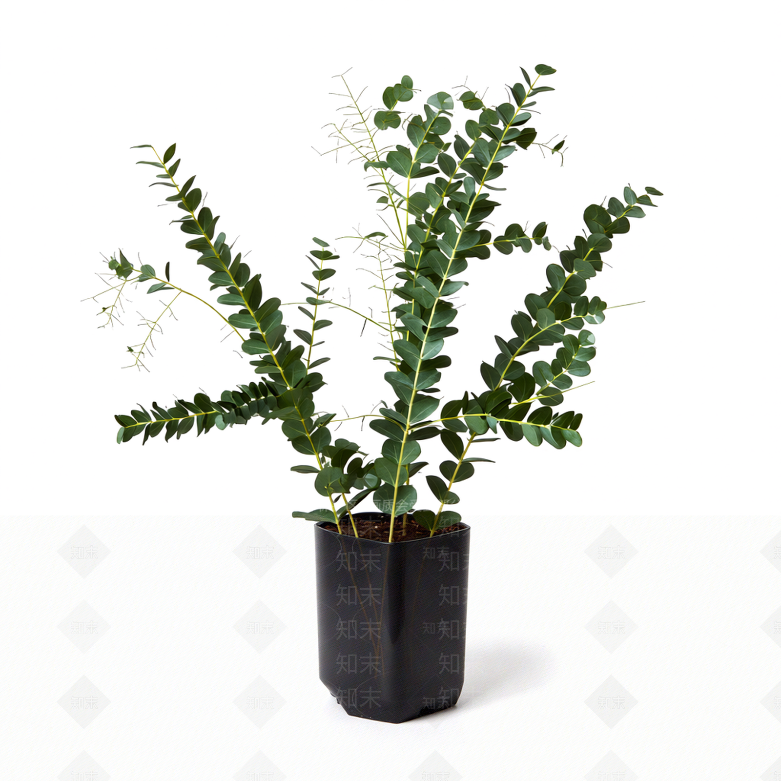 带盆绿植模型3D模型下载【ID:1206181800】