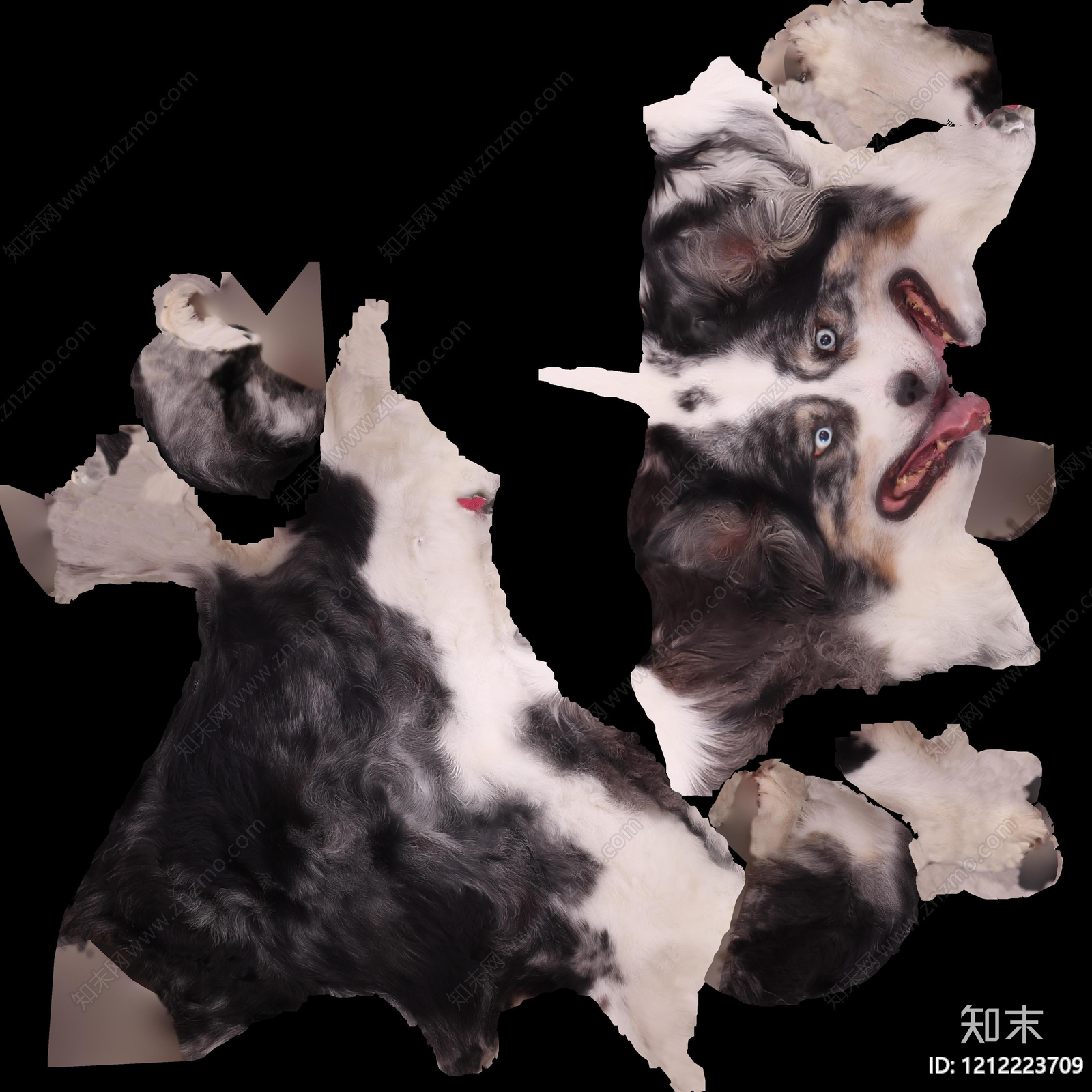 动物皮毛贴图下载【ID:1212223709】