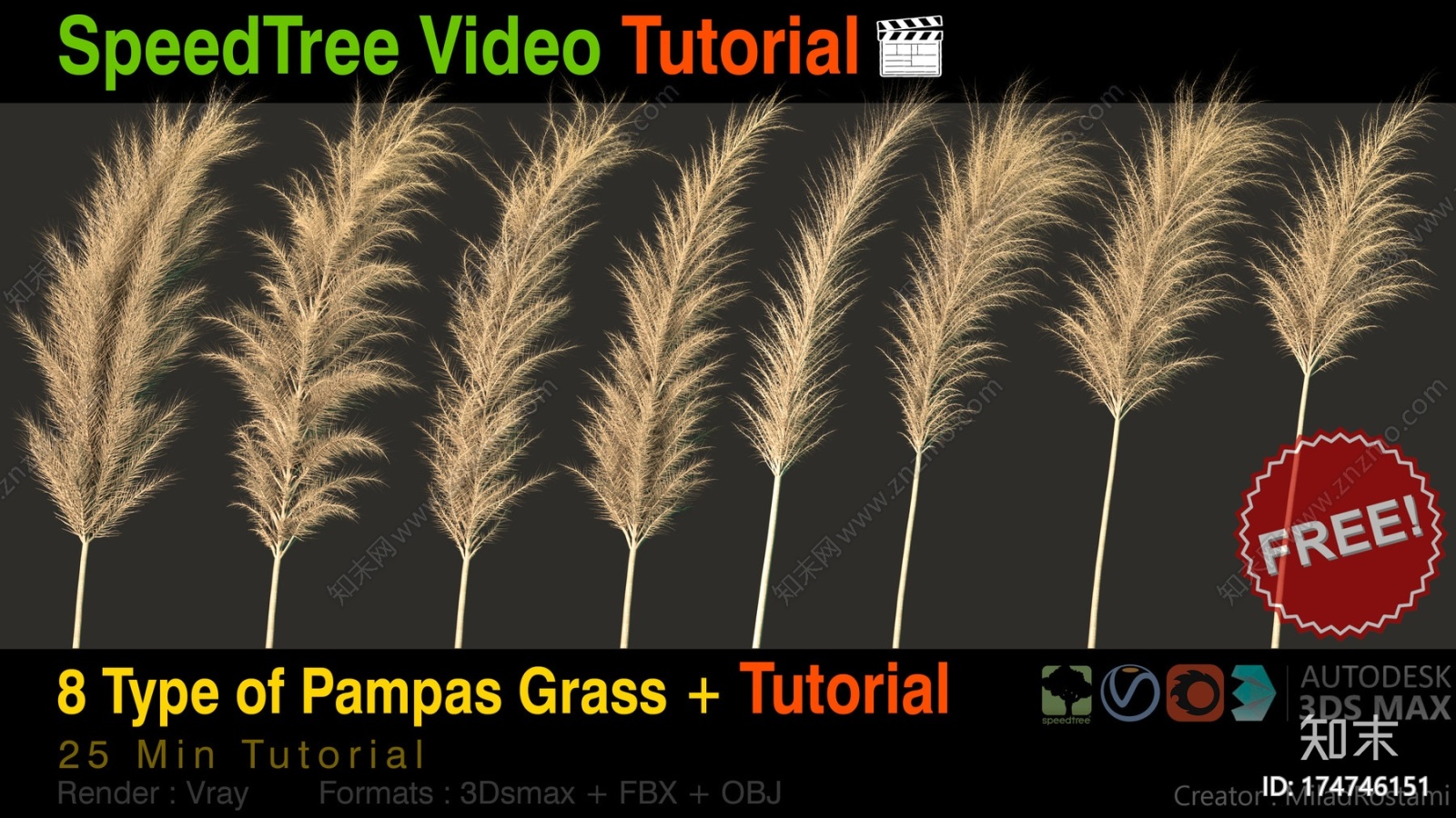 8种Pampass草+教程CG模型下载【ID:174746151】