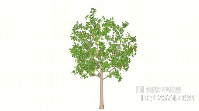 腰果树SU模型下载【ID:123747631】