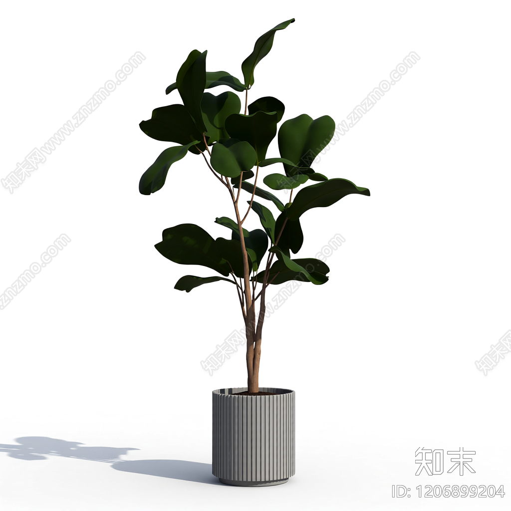 盆栽植物带花盆3D模型下载【ID:1206899204】