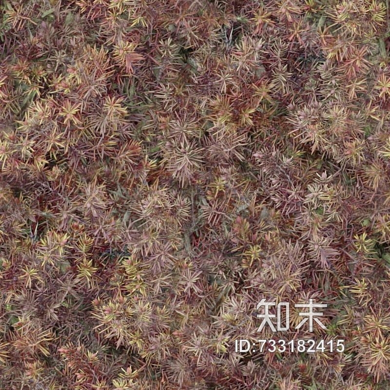 植物贴图下载【ID:733182415】