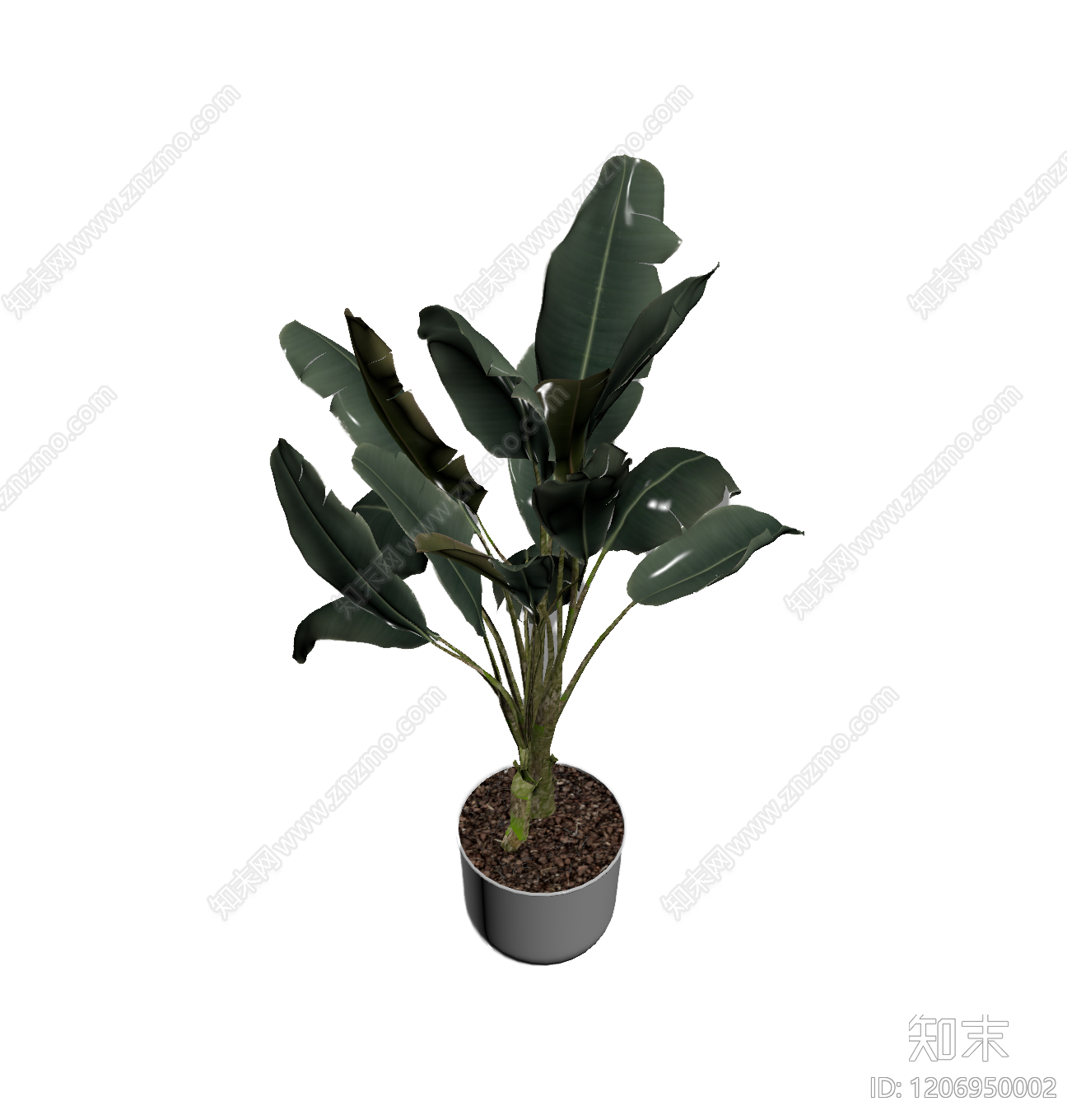 盆栽植物带花盆3D模型下载【ID:1206950002】