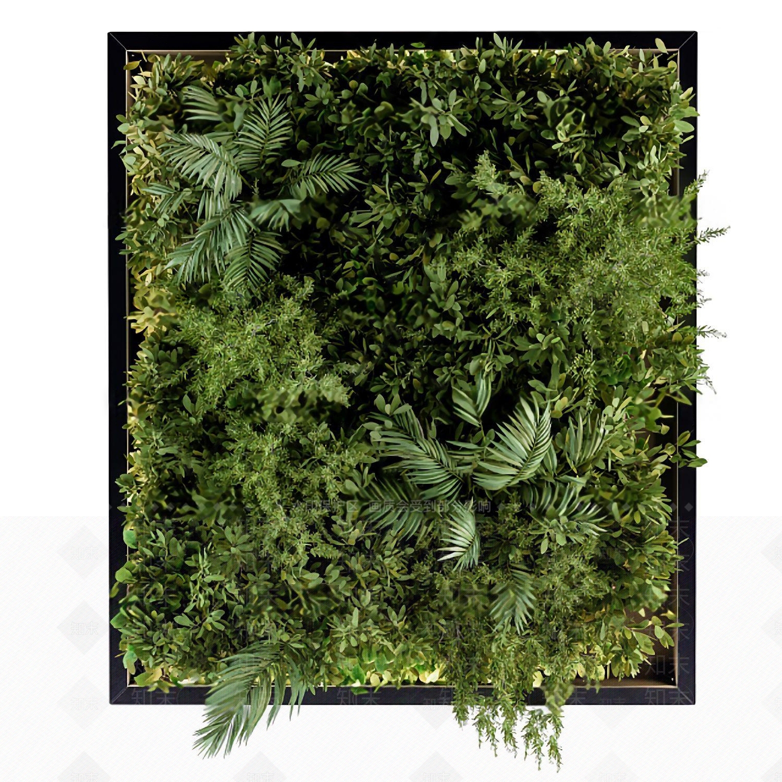 绿植植物墙3D模型下载【ID:1114784830】