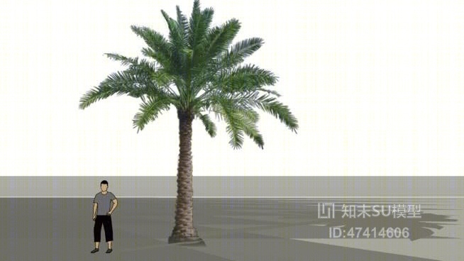 树SU模型下载【ID:117951620】