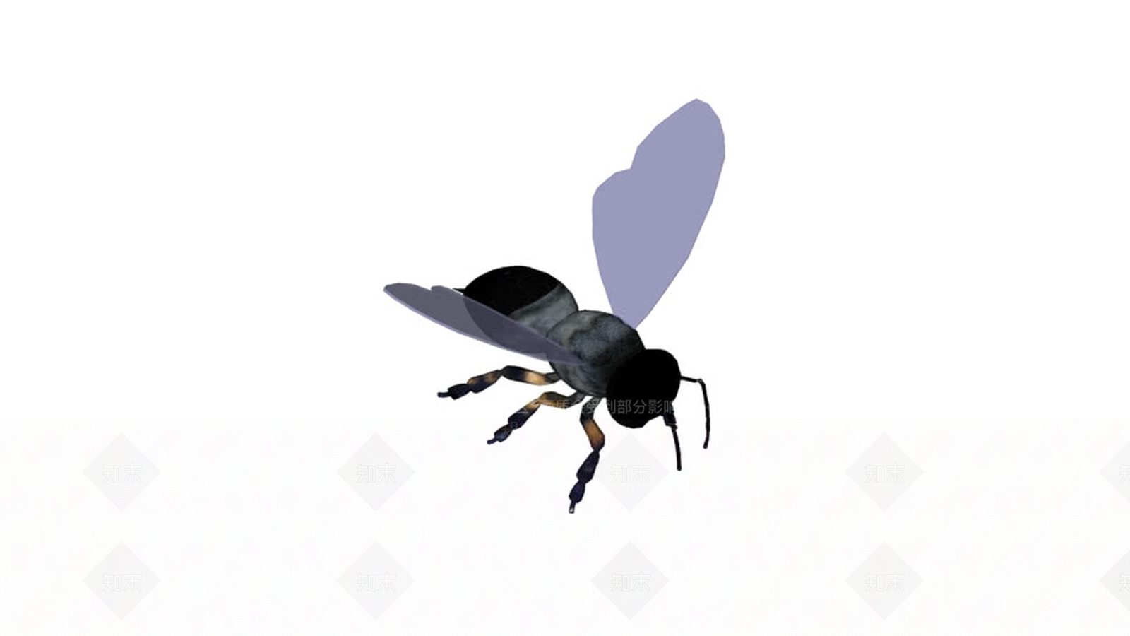 蜜蜂#SU模型下载【ID:1162132097】