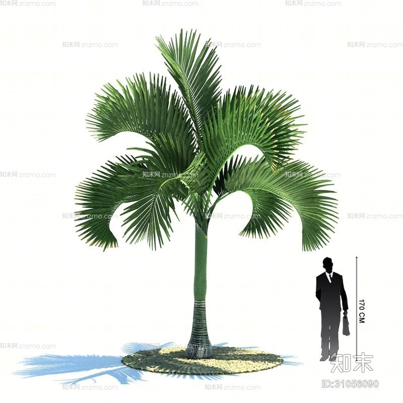 绿色景观树3D模型下载【ID:31056090】