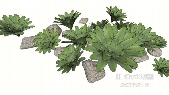草SU模型下载【ID:27647418】